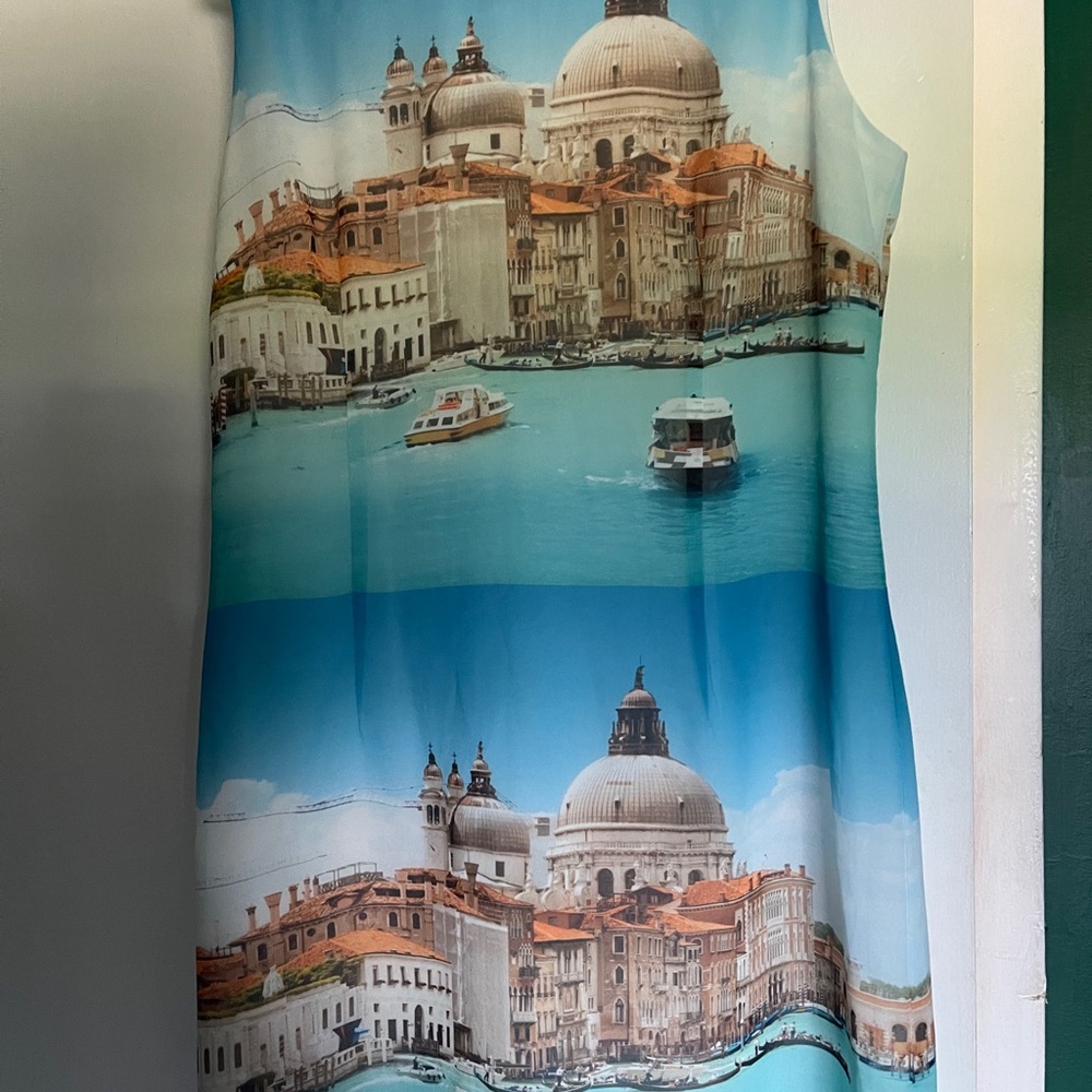 Scenic Print Sleeveless Dress Pink Martini size Large Europe Vacation Dress
